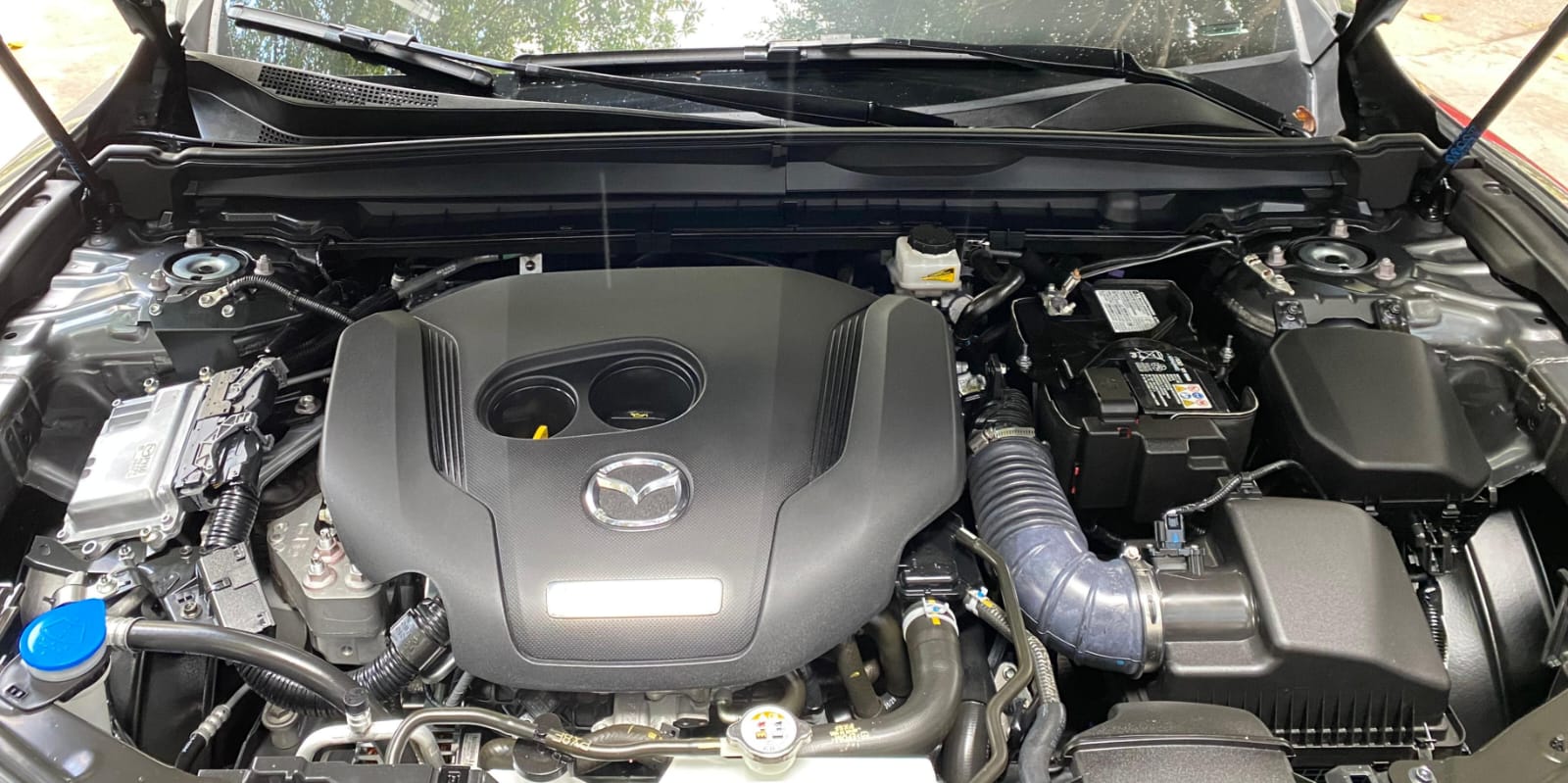 MAZDA CX50 SIGNATURE (6159) - Image 7