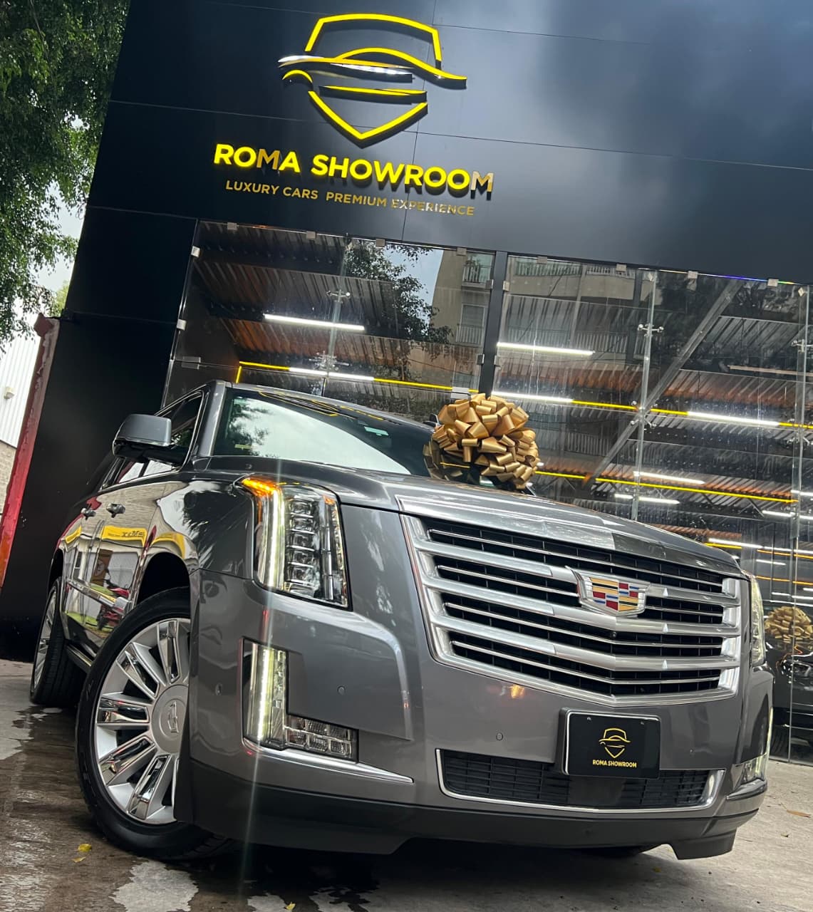 CADILLAC ESCALADE ESV PLATINUM (6398) - Image 22